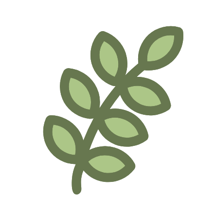 A vibrant green leaf, symbolizing natural ingredients and organic purity.