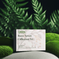 Boost-Serum Collection Box for radiant and hydrated skin with lush green foliage background.